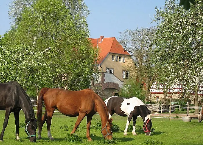 Gutshaus Von Bismarck Apartment An der Schmucke